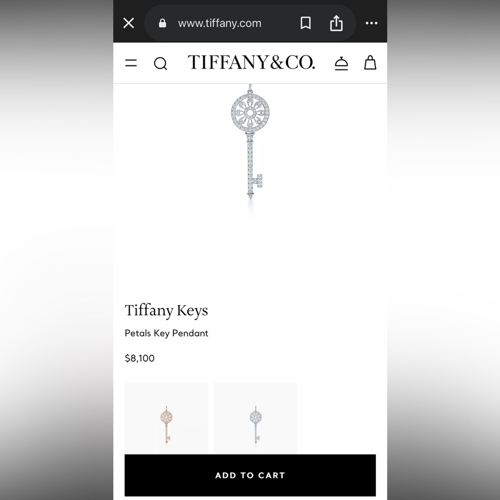 Tiffany & Co. Silver Petals platinum & diamond Key Pendant